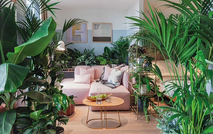 Biophilic Design Home Sanctuary - Natural Living Space